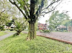Lentor Walk (D26), Terrace #574524781